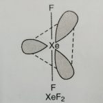 Structure of XeF2