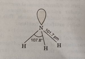 Structure of ammonia