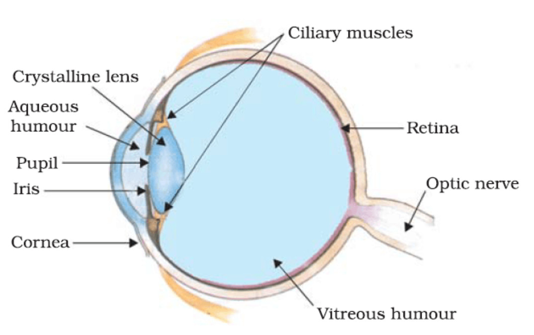 The Eye 10 - Wikipedia