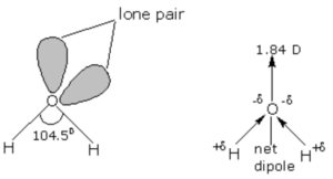 Structure of water