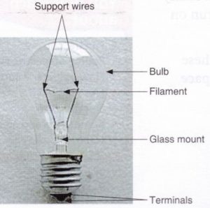 Torch bulb