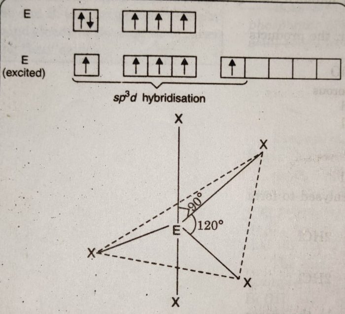 Trigonal bipyramidal shape of EX5 molecule