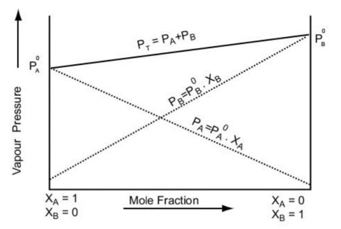 Define Vapour Pressure Of A Liquid