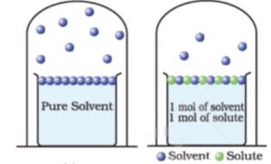 Vapour pressure of pure liquid and solution