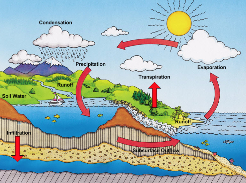Draw A Suitable Diagram And Explain The Water Cycle