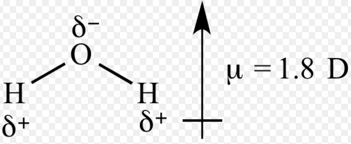 quantum-field-theory-electric-dipole-moment-edm-and-magnetic-dipole