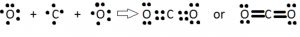 formation of carbondioxide molecule