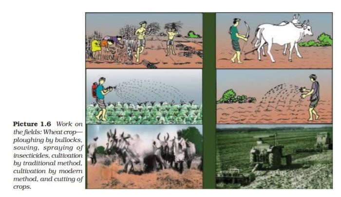 ncert-solutions-class-9-economics-chapter-1-story-village-palampur-page-7-Q-4