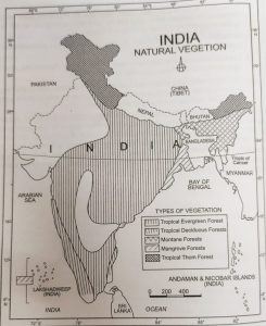 Class 9 Geography Chapter 5 Natural Vegetation And Wildlife - Class 9 ...