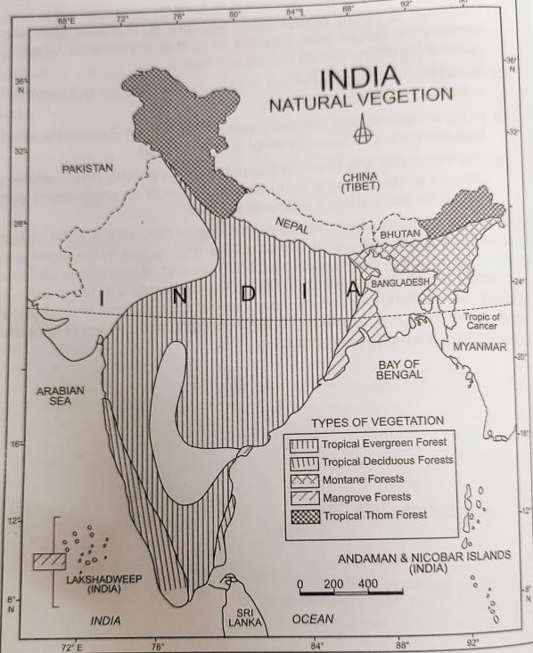 ncert-solutions-class-9-geography-chapter-5-natural-vegetation-wildlife-map-skills-page-52