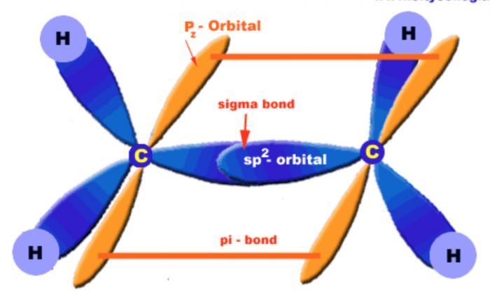 Shapes Of Simple Organic Compounds - Chemistry, Class 11, Organic ...