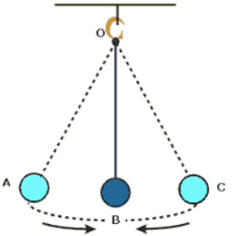 Types of Motion | Class 6, Motion and Measurement of Distances