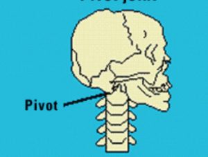 pivot joint