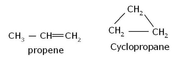 Structural Isomerism - Chemistry, Class 11, Organic Chemistry - Some ...