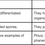 pteridophytes and phanerogams