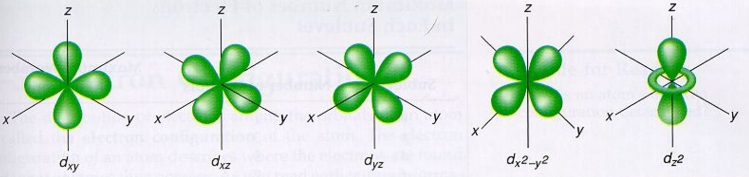 Shapes of Atomic Orbital - Chemistry, Class 11, Structure of Atom