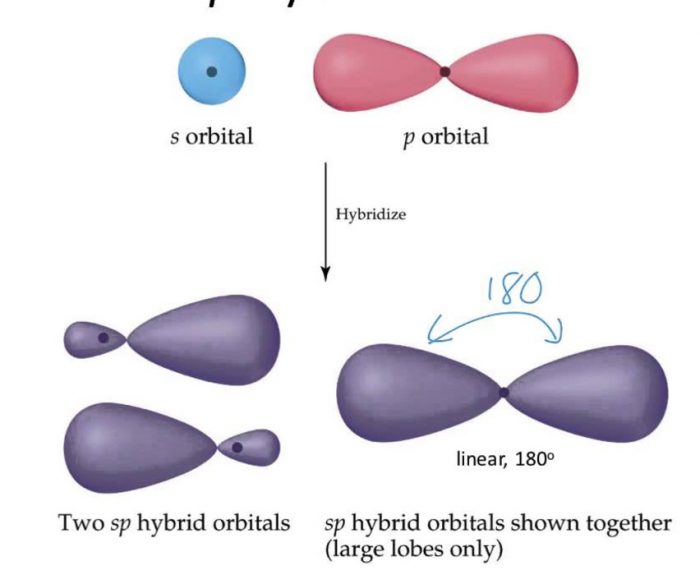 Hybridisation - Chemical Bonding and Molecular Structure, Chemistry ...