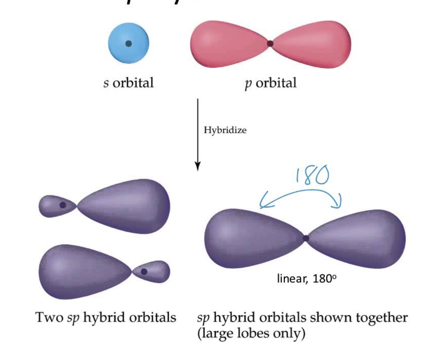 Hybrid Orbitals Chart