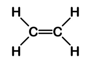 structure of Ethene