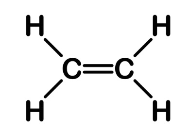 Saturated and Unsaturated Compounds - Carbon and its Compounds, Class 10