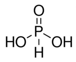 structure of Phosphonic acid